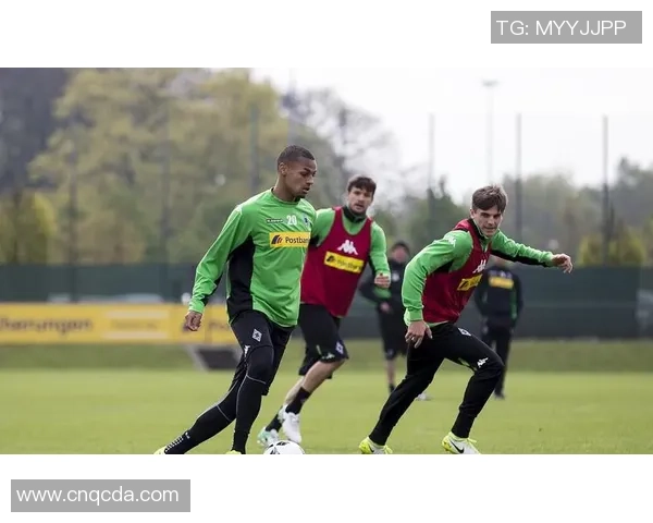 赫尔蒙特与多德勒支比赛数据深度分析与战术对比探讨