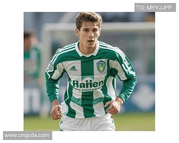 瑞超焦点战哈马比迎战佐加顿斯双方争夺季后赛名额的关键对决